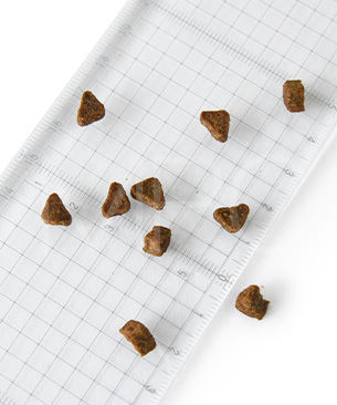 アンブロシア CAT クラシック ターキー＆ヘリング