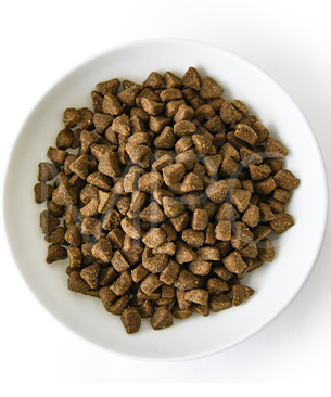 アンブロシア CAT クラシック トラウト＆ラビット