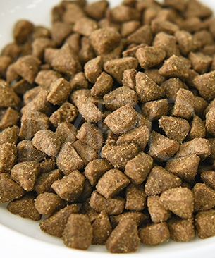 アンブロシア CAT クラシック トラウト＆ラビット