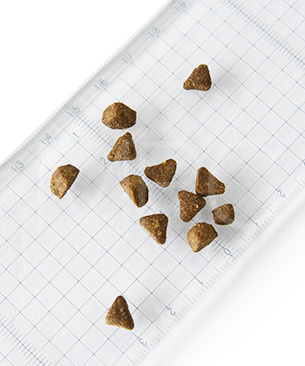 アンブロシア CAT クラシック トラウト＆ラビット