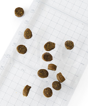 アンブロシア DOG HMN サーディン＆ヘリング