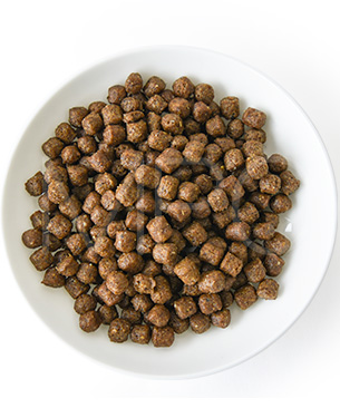 アンブロシア DOG HMN ラム