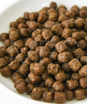 アンブロシア DOG HMN ラム