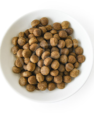 アンブロシア DOG HMN ダック