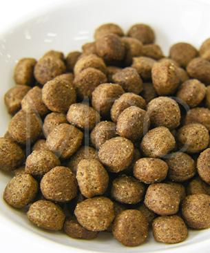 アンブロシア DOG HMN ダック