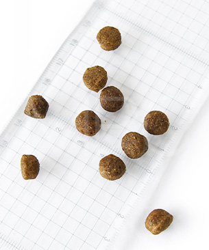 アンブロシア DOG HMN ダック