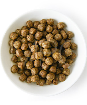 アンブロシア DOG HMN ターキー