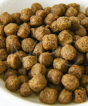 アンブロシア DOG HMN ターキー