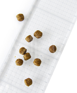 アンブロシア DOG HMN ターキー