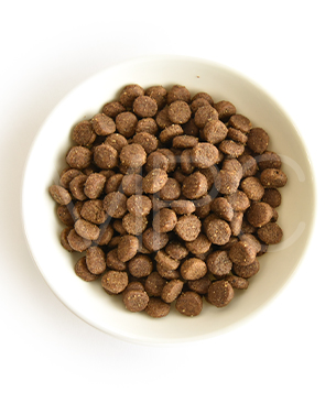 アートゥー CAT チキン