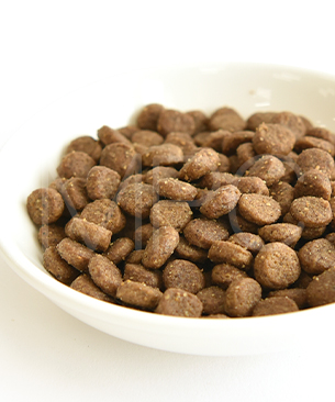 アートゥー CAT チキン