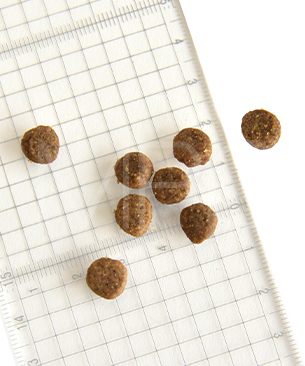 アートゥー CAT チキン