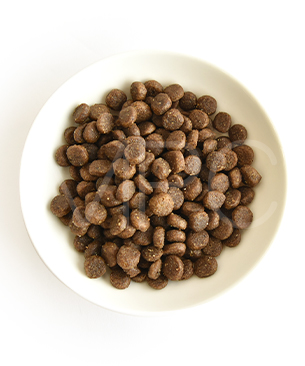 アートゥー CAT ダック