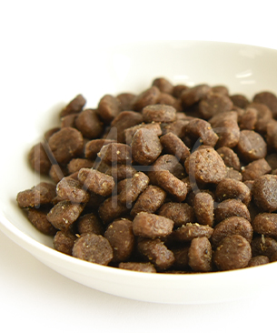 アートゥー CAT ダック