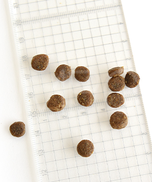 アートゥー CAT ダック