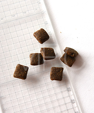 アートゥー チキン