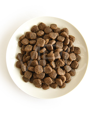 アートゥー ダック