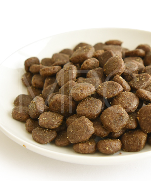 アートゥー ダック