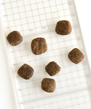 アートゥー ダック