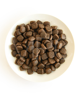 アートゥー サーモン