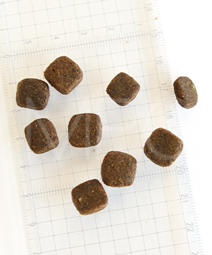 アートゥー サーモン