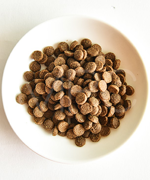 バックトゥベーシックス キア オラ キャットフード ラム＆レバー