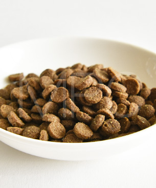 バックトゥベーシックス キア オラ キャットフード ラム＆レバー