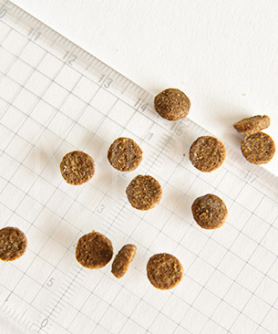 バックトゥベーシックス キア オラ キャットフード ラム＆レバー