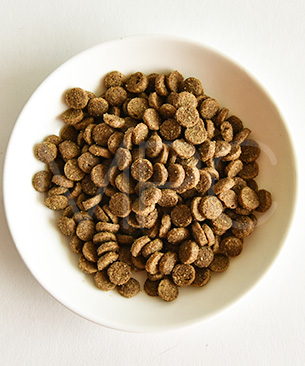 バックトゥベーシックス キア オラ キャットフード ビーフ＆レバー