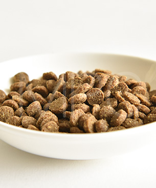 バックトゥベーシックス キア オラ キャットフード ビーフ＆レバー