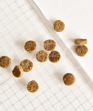 バックトゥベーシックス キア オラ キャットフード ビーフ＆レバー