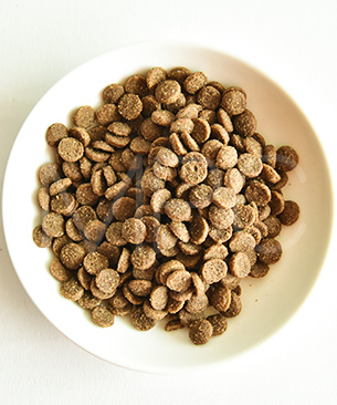 バックトゥベーシックス キア オラ キャットフード カンガルー