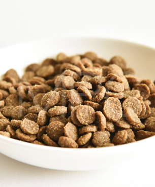 バックトゥベーシックス キア オラ キャットフード カンガルー