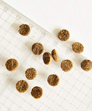 バックトゥベーシックス キア オラ キャットフード カンガルー