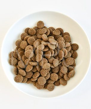 バックトゥベーシックス キア オラ ドッグフード ラム＆レバー