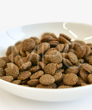 バックトゥベーシックス キア オラ ドッグフード ラム＆レバー