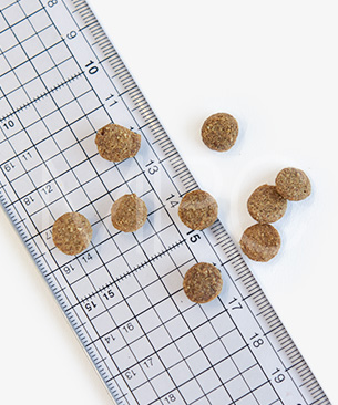 バックトゥベーシックス キア オラ ドッグフード ラム＆レバー