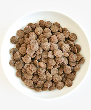 バックトゥベーシックス キア オラ ドッグフード カンガルー