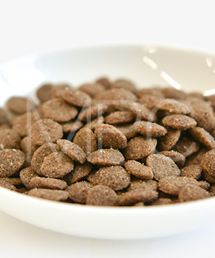 バックトゥベーシックス キア オラ ドッグフード カンガルー