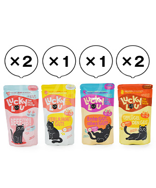 ラッキールー アダルト テイスティミックス 125g×6