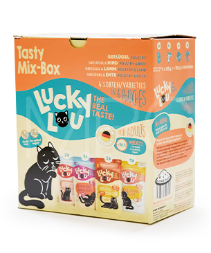 ラッキールー アダルト テイスティミックス 125g×6