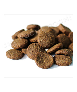 ハッピードッグ　スプリーム・センシブル　アイルランド