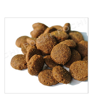 ハッピードッグ　スプリーム・センシブル　ニュージーランド