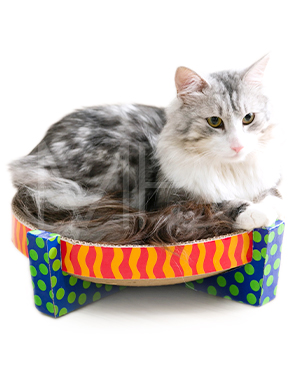 スクラッチ・アンド・レスト 【特別価格品】