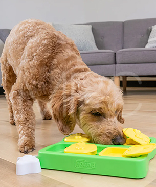 ニーナ　オットソン【数量限定品】トリーツ・ゲーム　ブリック　ミニ