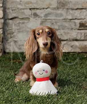 FAD【数量限定品】プラッシュトイ　テルテル　S　ストライプ