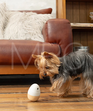 FAD【数量限定品】トリーツエッグトイ　S