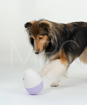 FAD【数量限定品】トリーツエッグトイ　L