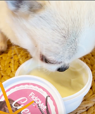 フィドベット DOG クリーム アップル 25g