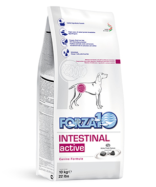 フォルツァ10 インテスティナルアクティブ （消化器ケア療法食） 10kg